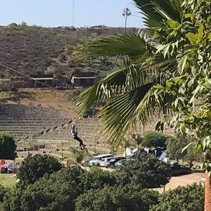 Meet your Posher, Alexa